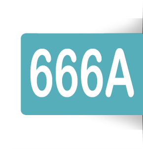 Linie 666A
