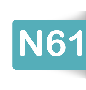 Linie N61